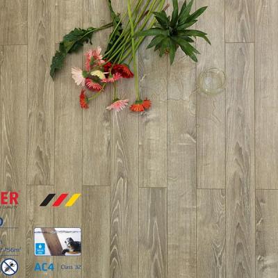 Sàn gỗ Morser MC131